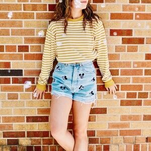 Anthropologie the Carlow rearward stripe knit top